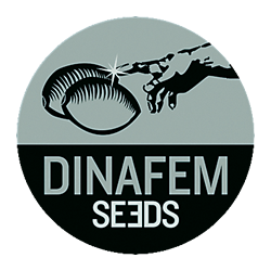 Dinafem Seeds