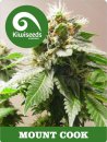 Kiwi Seeds Mount Cook (Феминизированные)
