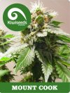 Mount Cook (Обычные)